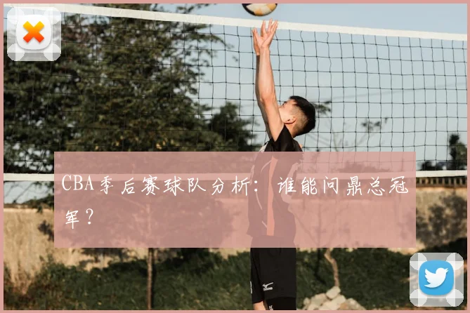 CBA季后赛球队分析:谁能问鼎总冠军?