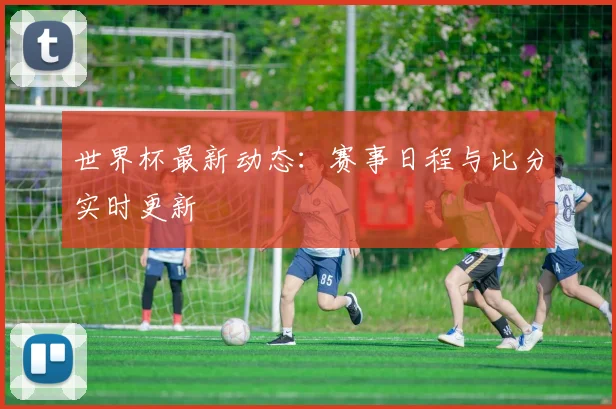 世界杯最新动态:赛事日程与比分实时更新