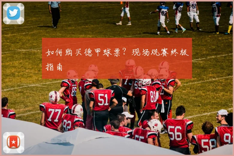 如何购买德甲球票?现场观赛终极指南